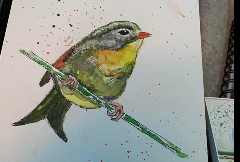 Little birdie!