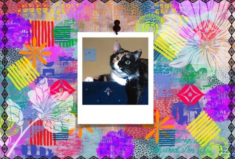 Mervyn’s Mixed Media Project
