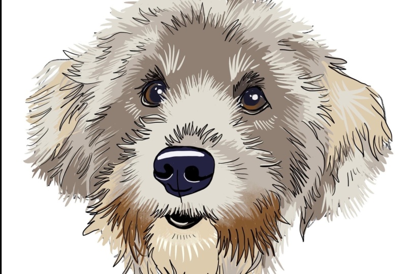 Auggie Doggy sticker in procreate