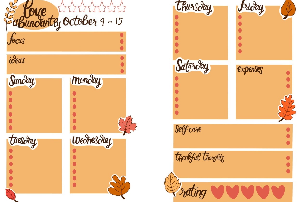 Weekly Spread - student project