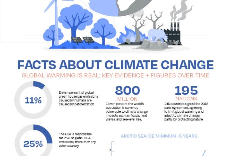 infographics