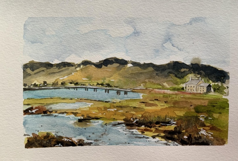 Loose landscape