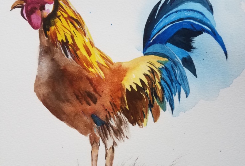 Rooster0726