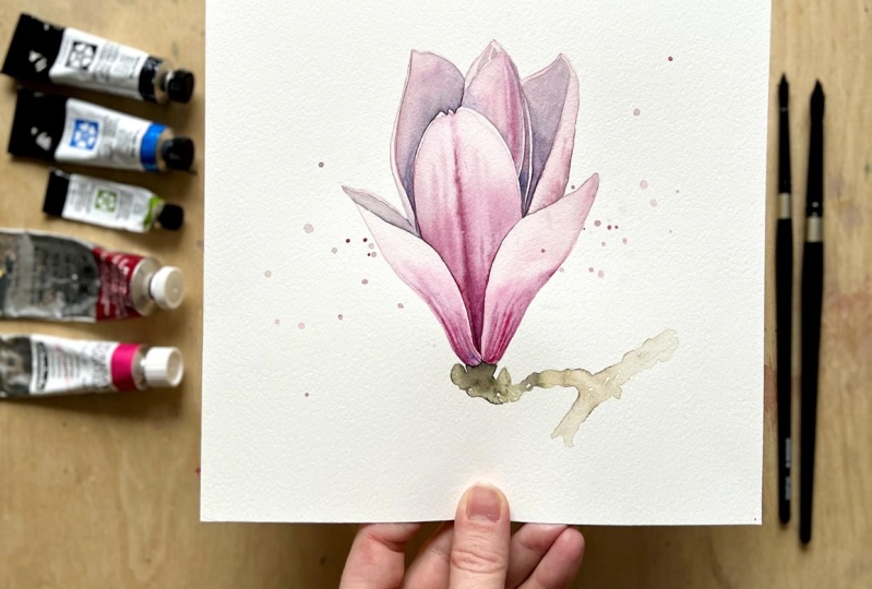 Watercolor Magnolia Paintings