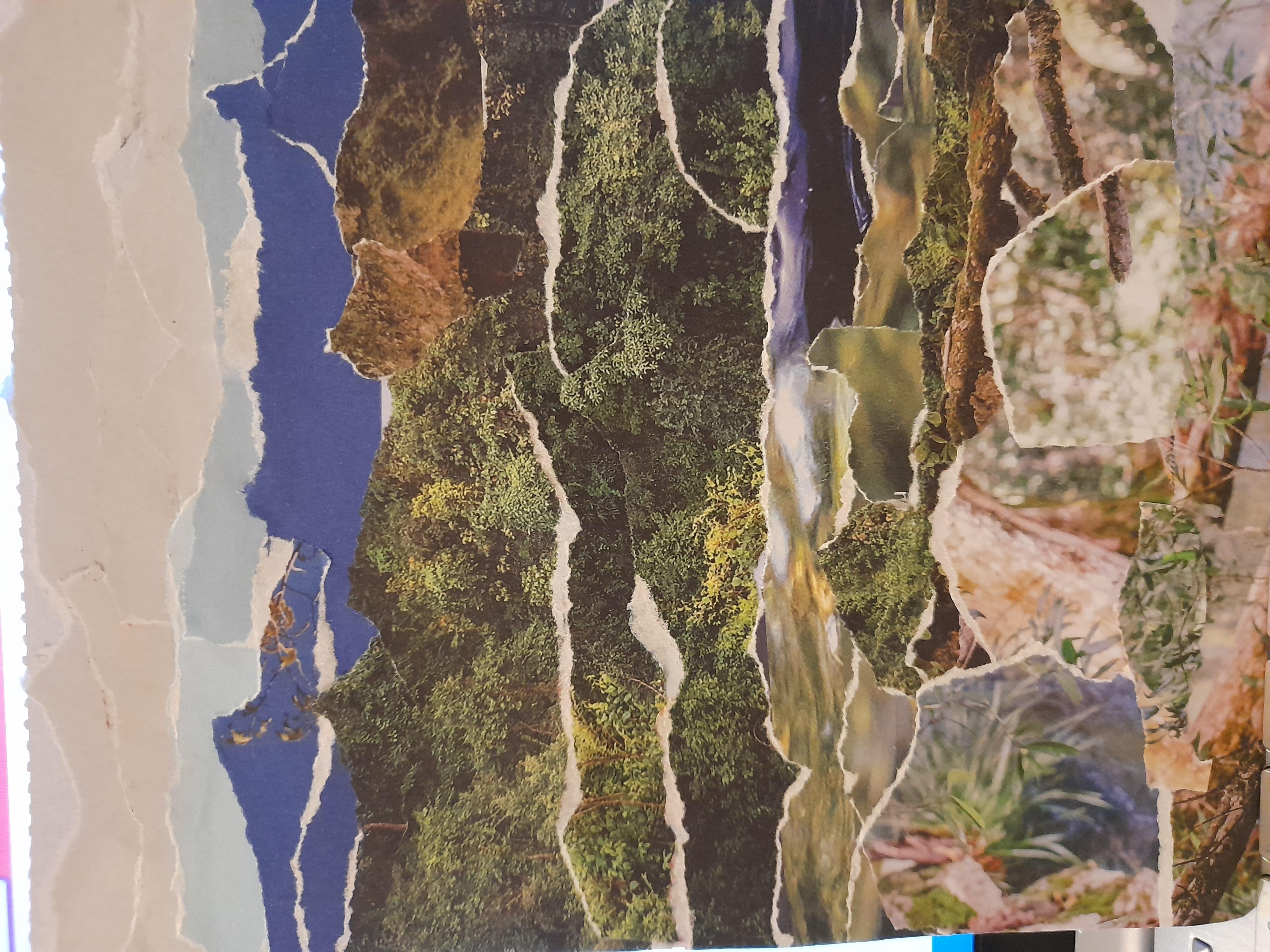 Grampian mountains - student project