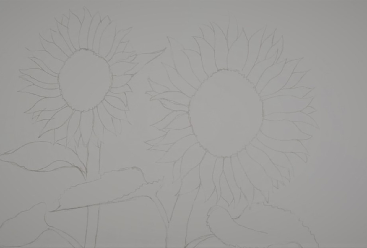 Outline Drawing - student project