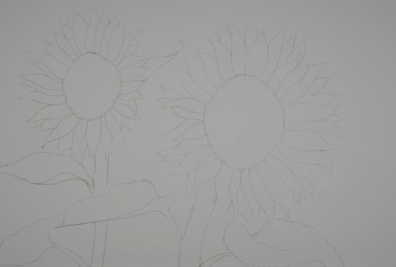 Outline Drawing