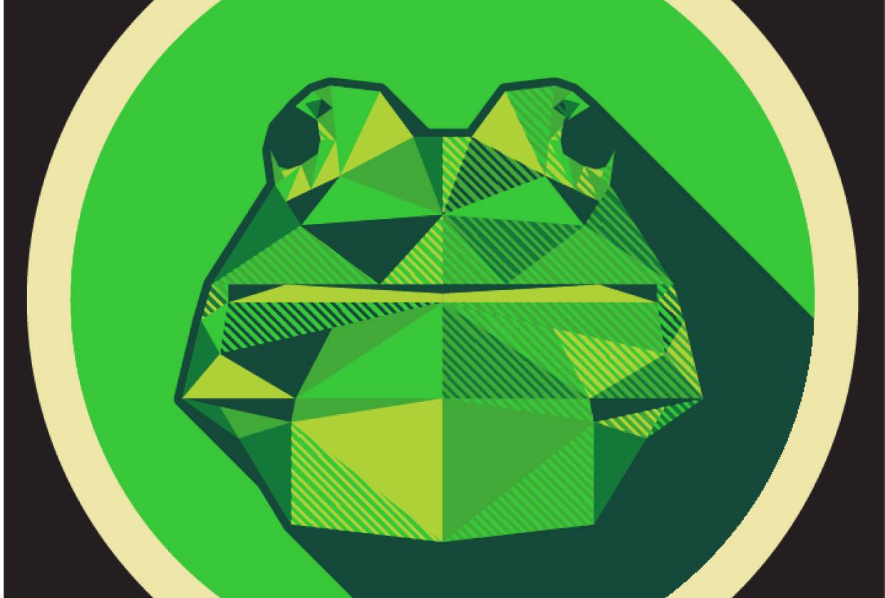 Geometric Frog - student project