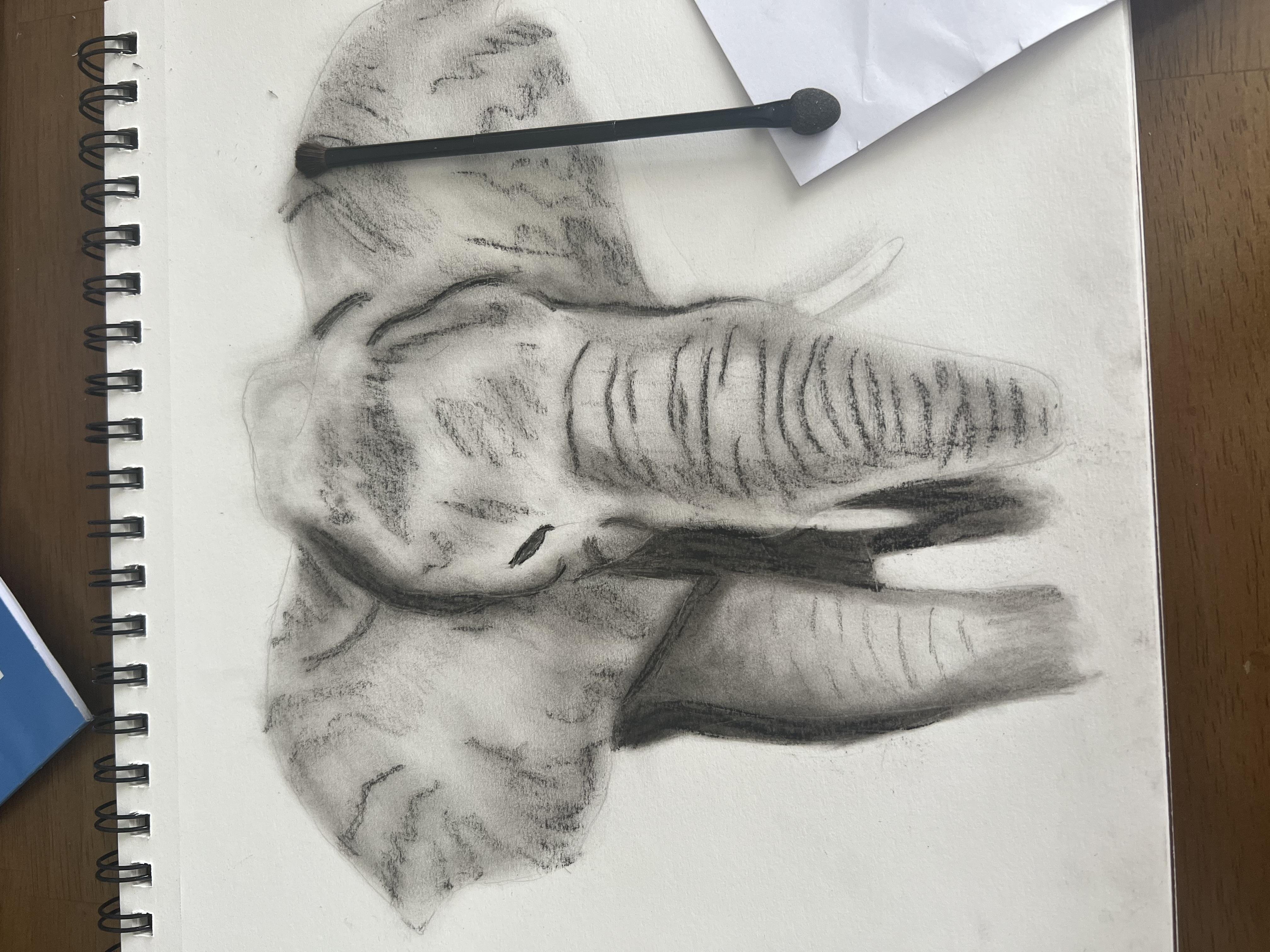 Elephant - student project