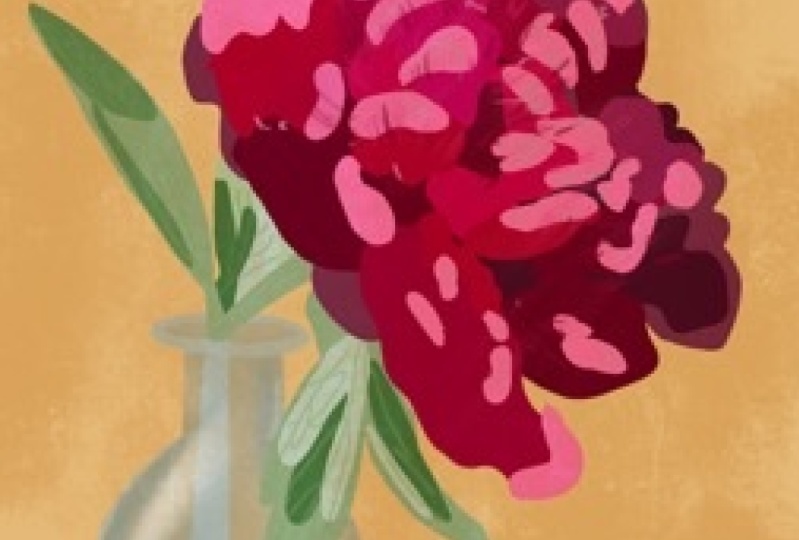 Peony in a vase