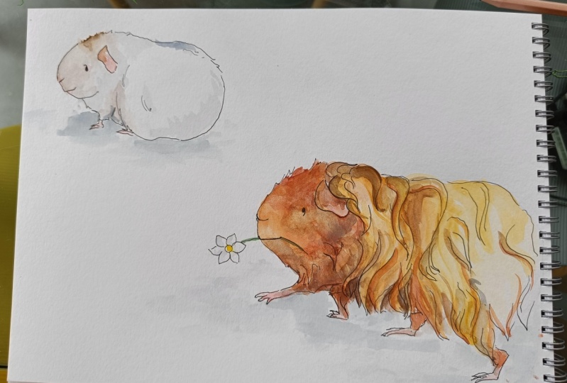 First attempt at capturing my own piggies :)