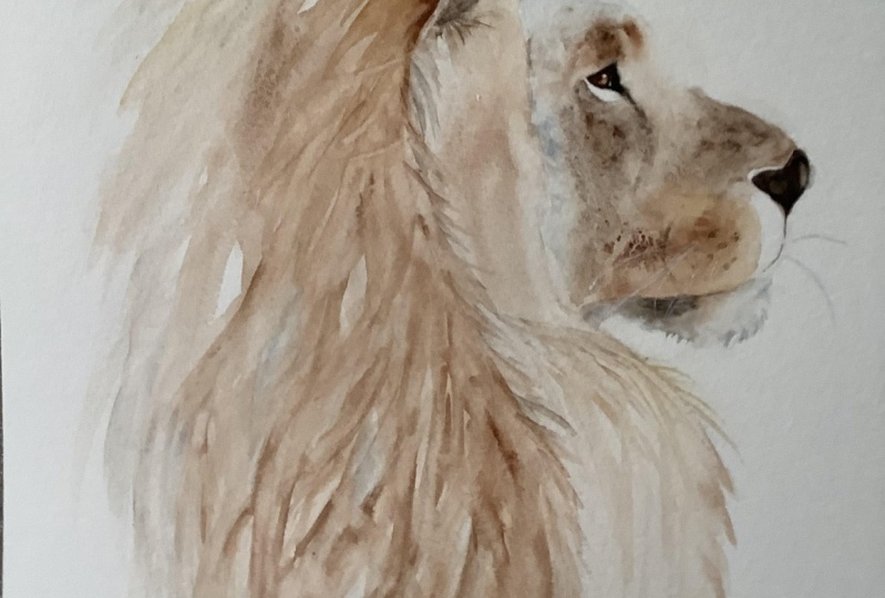 Lion tutorial