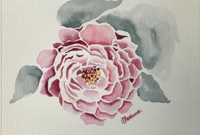 My project -flower
