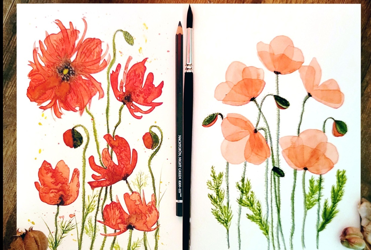 nothing but poppies - student project