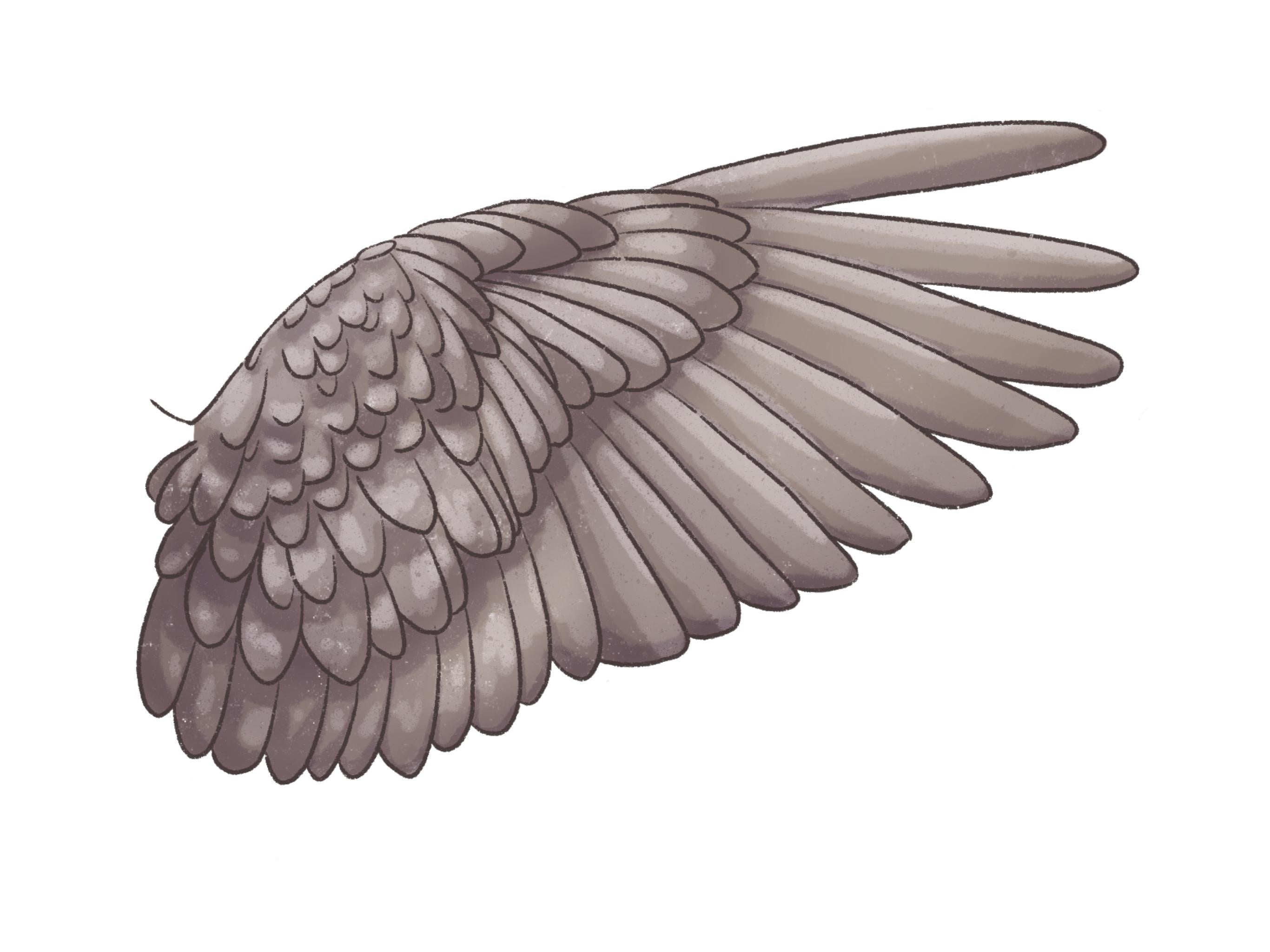 more-projects-from-class-img