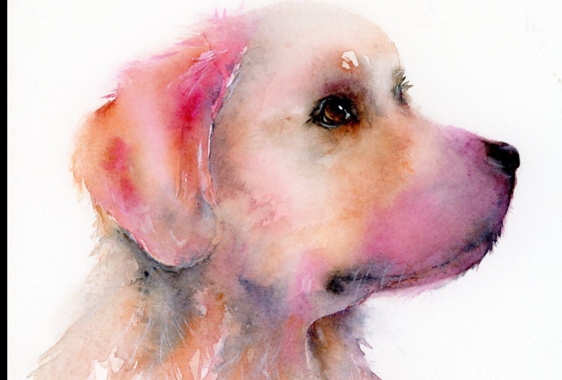 Free flow pet portrait - Archie, Lily & Marco