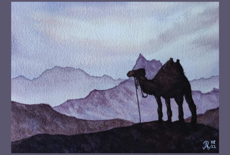 Desert With Camel Silhouette