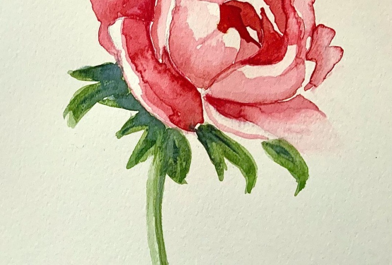 Peony