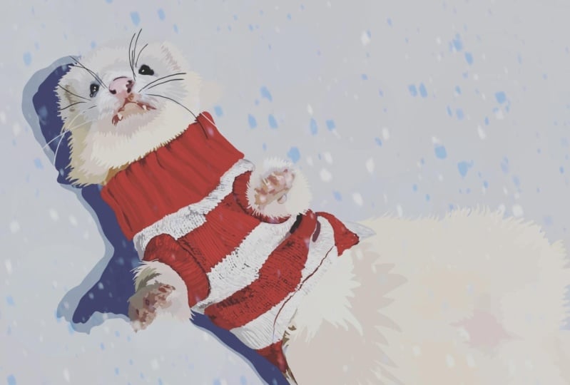 Frettchen im Schnee