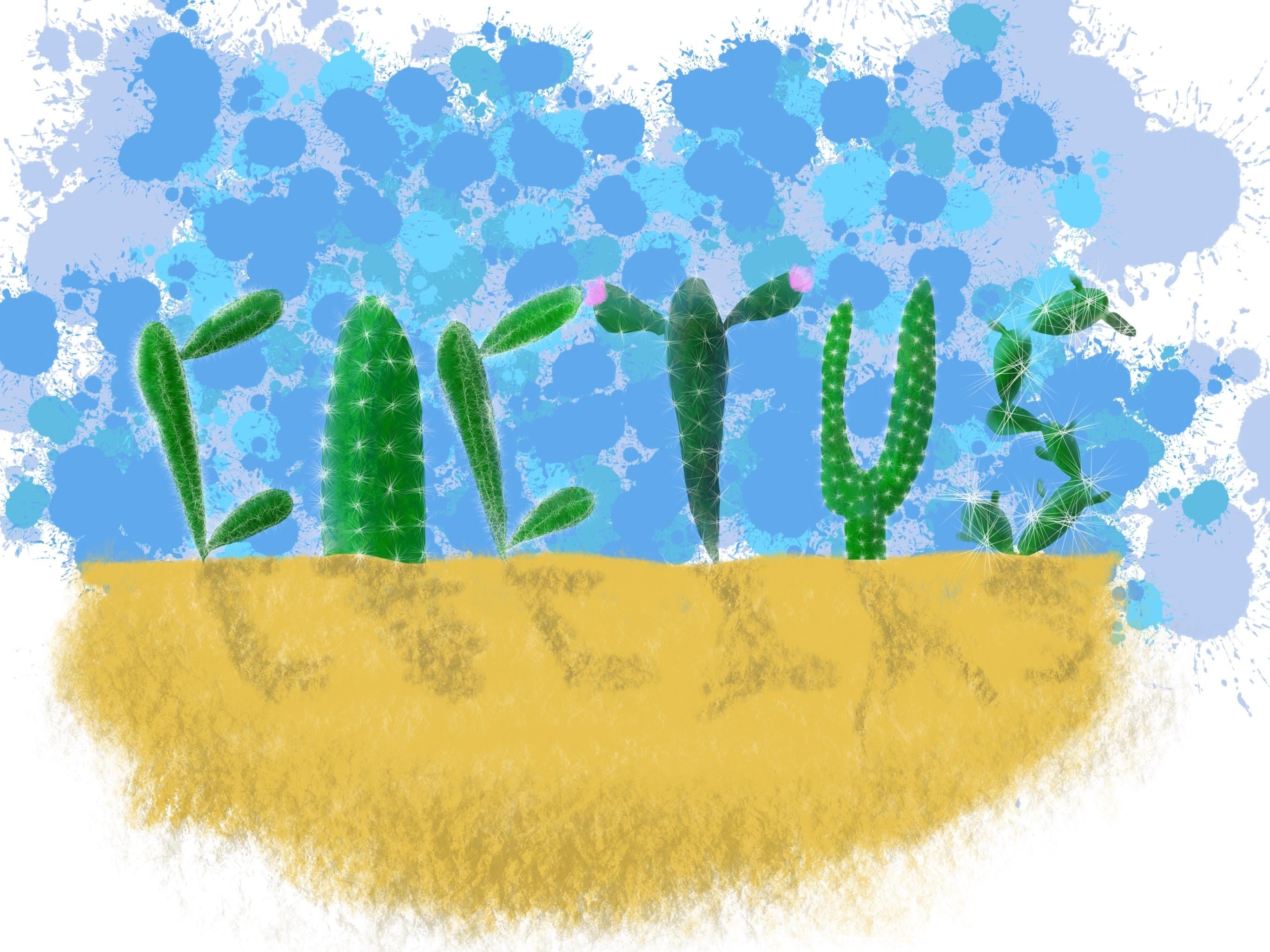 more-projects-from-class-img
