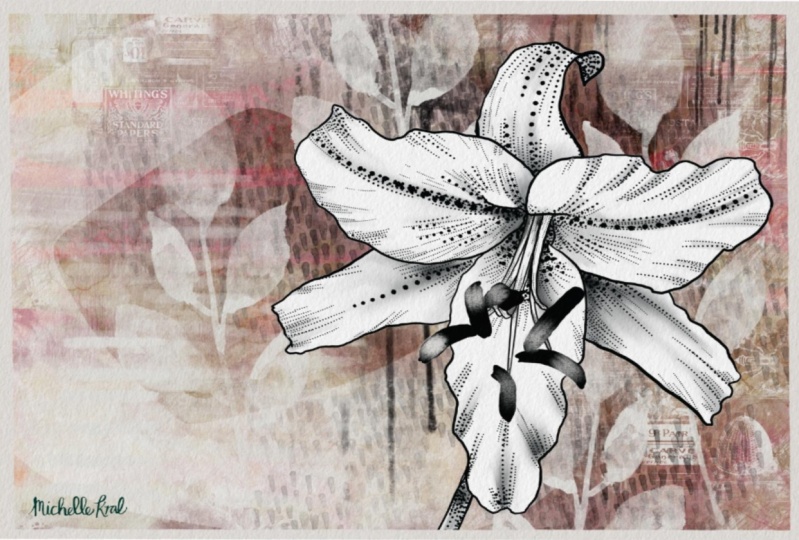 Lily