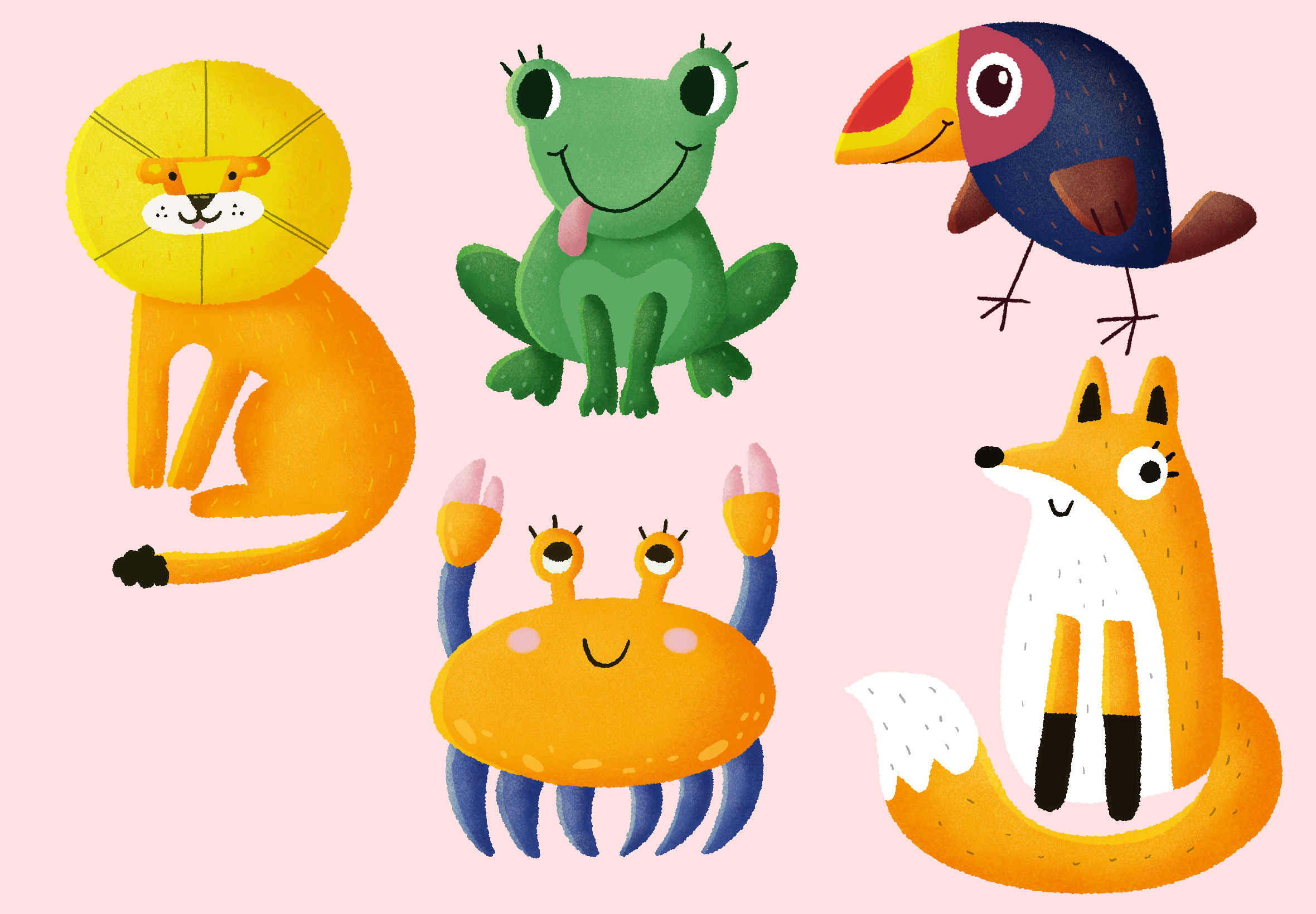 Wild animals - student project