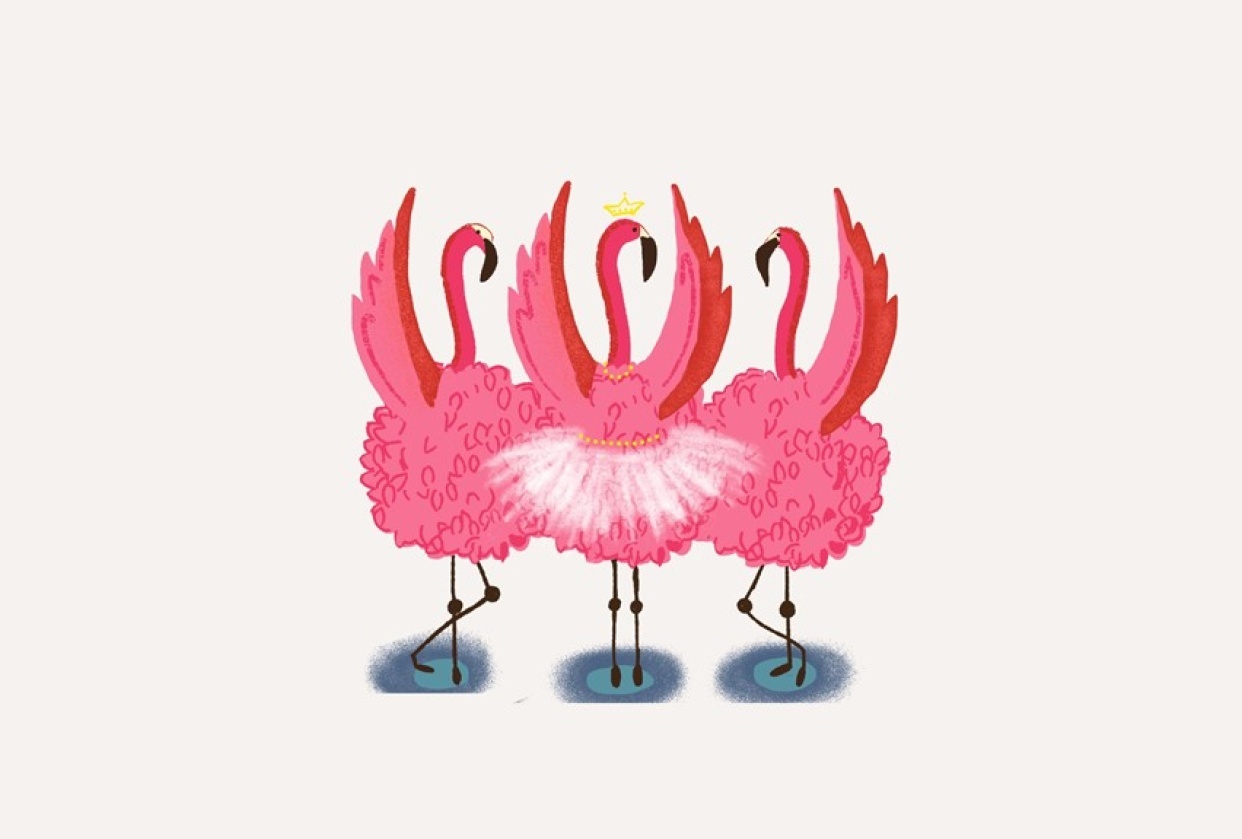 Flamingo Lake - student project