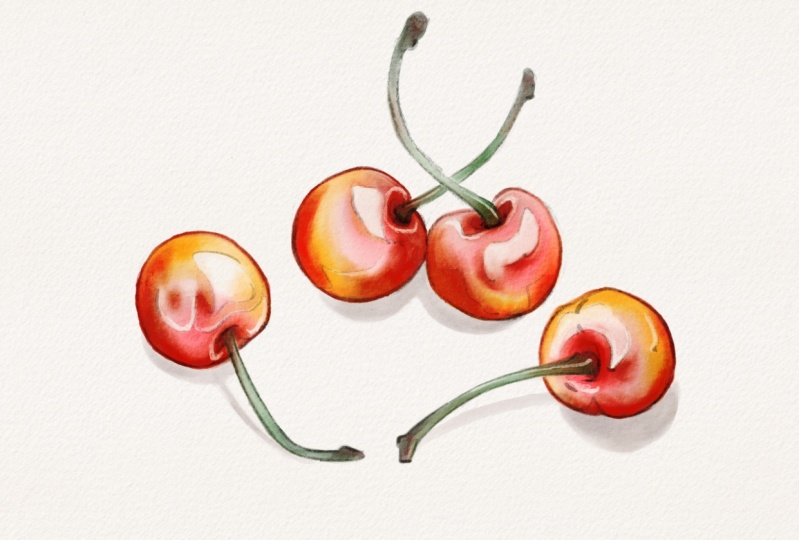 Watercolor cherries