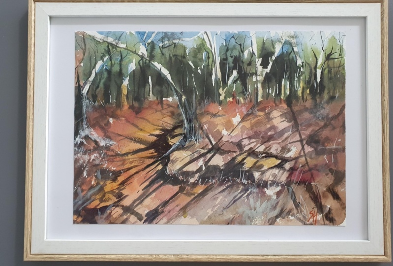 Australian landscape