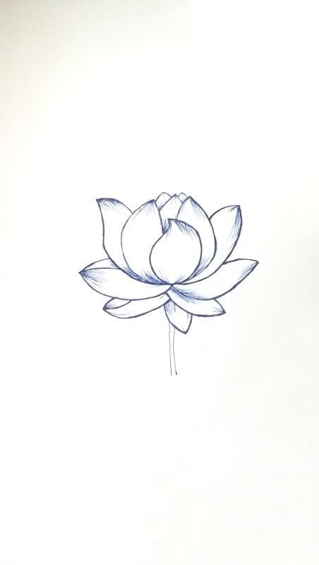 Sketch of Lotus flower - student project