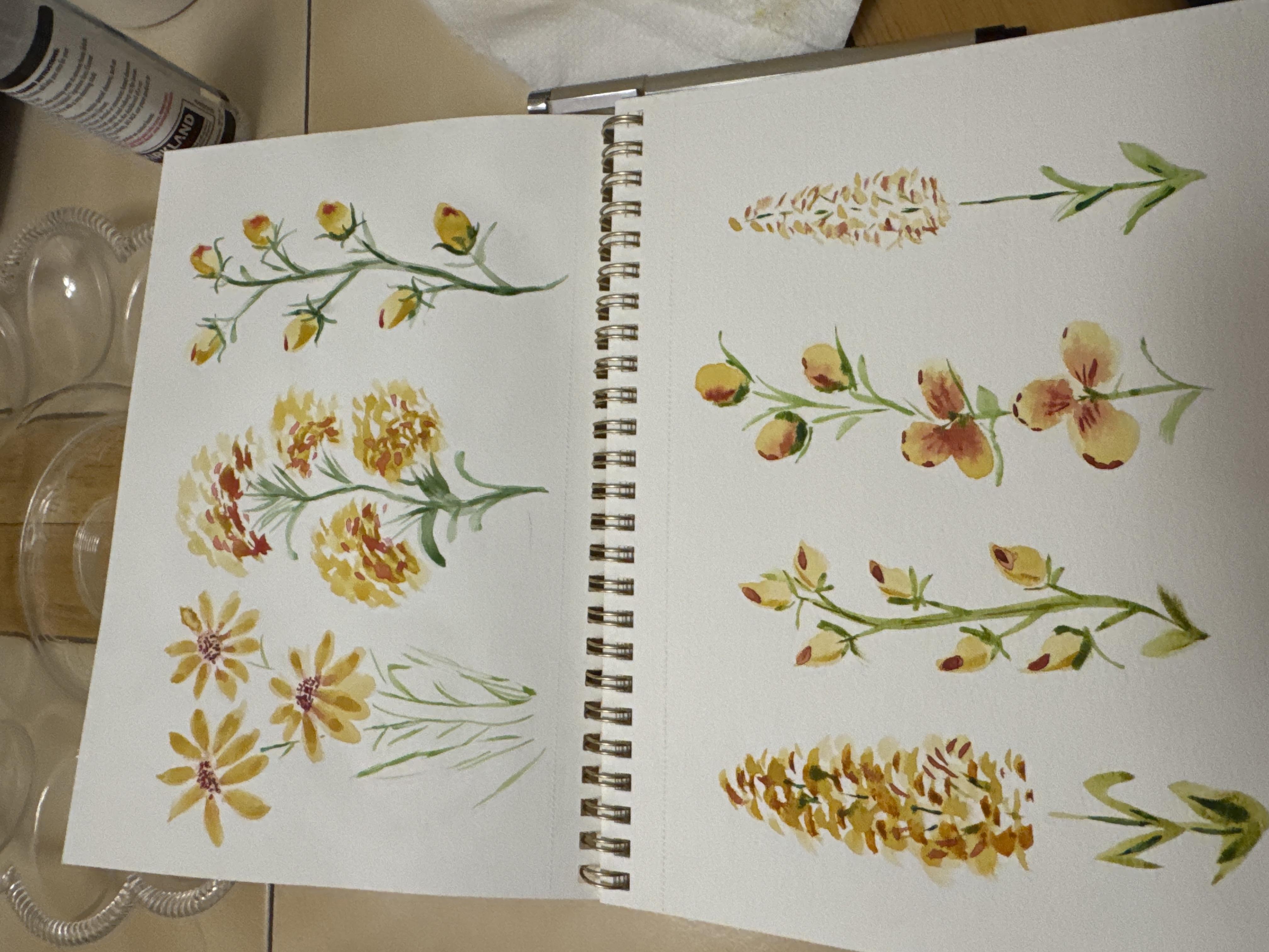 more-projects-from-class-img