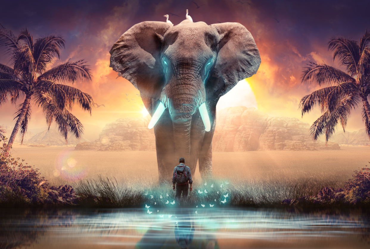Eléphant Mystérieux - student project