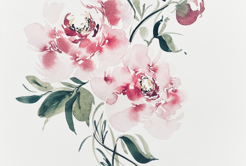 Peonies