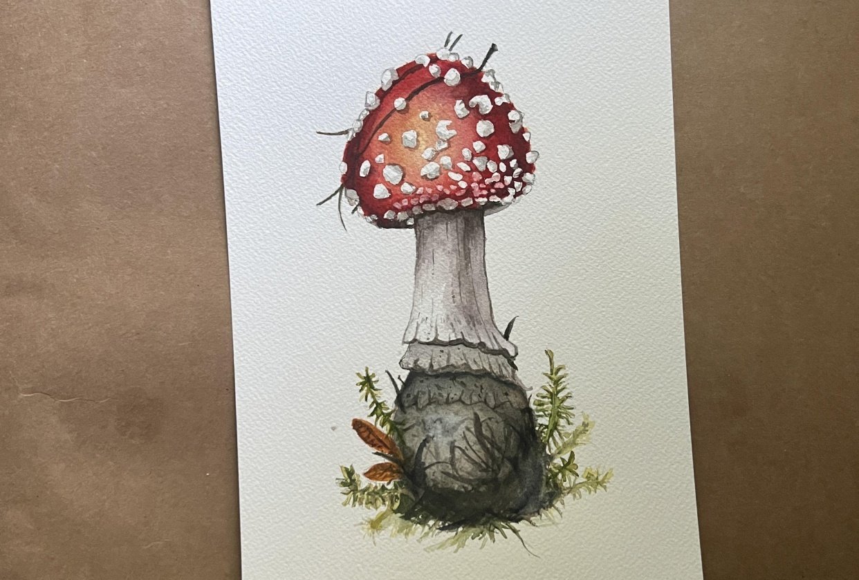 Mushroom - student project