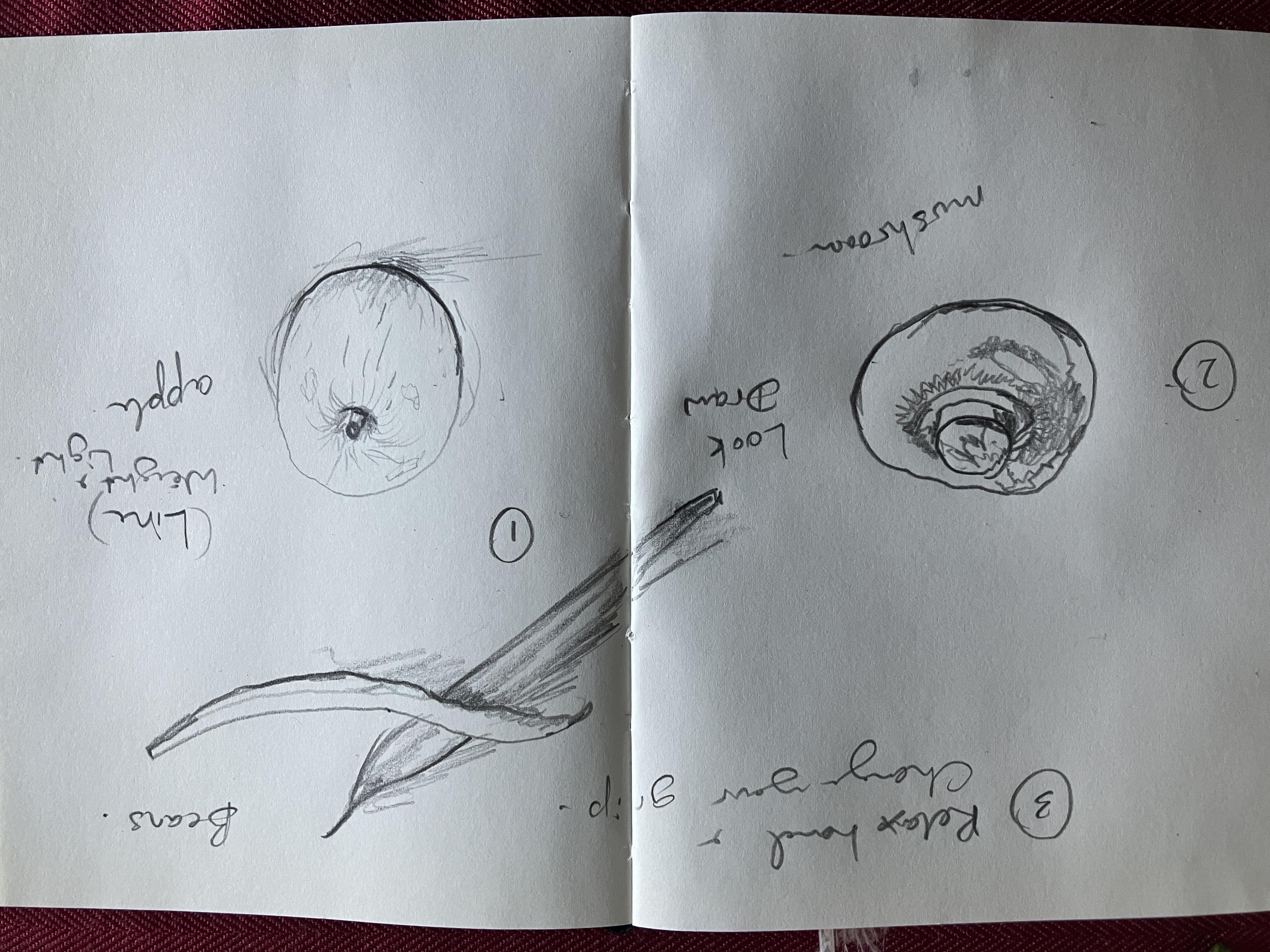 Drawing Tips - student project