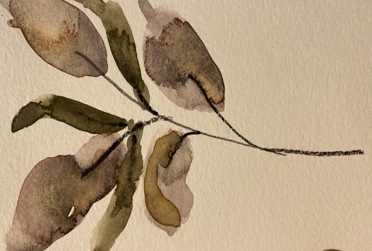 Milkweed abstracts and others - student project