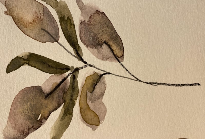 Milkweed abstracts and others