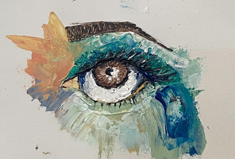 Eye