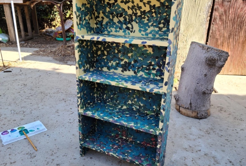 (Done) Broken Dresser -> Bookshelf Dresser
