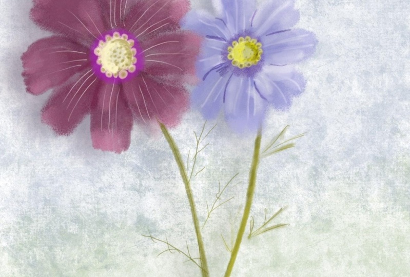 Water color Cosmos
