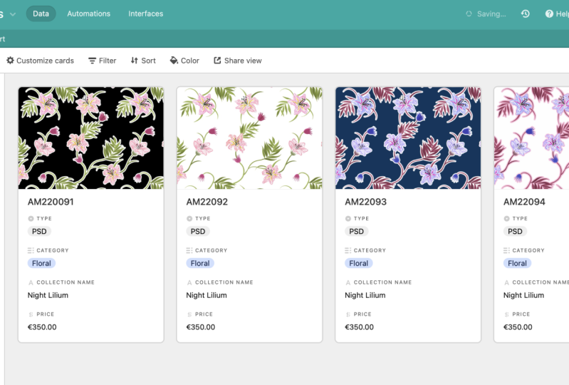 Portfolio Organization System For Surface Pattern Designers Beatriz
