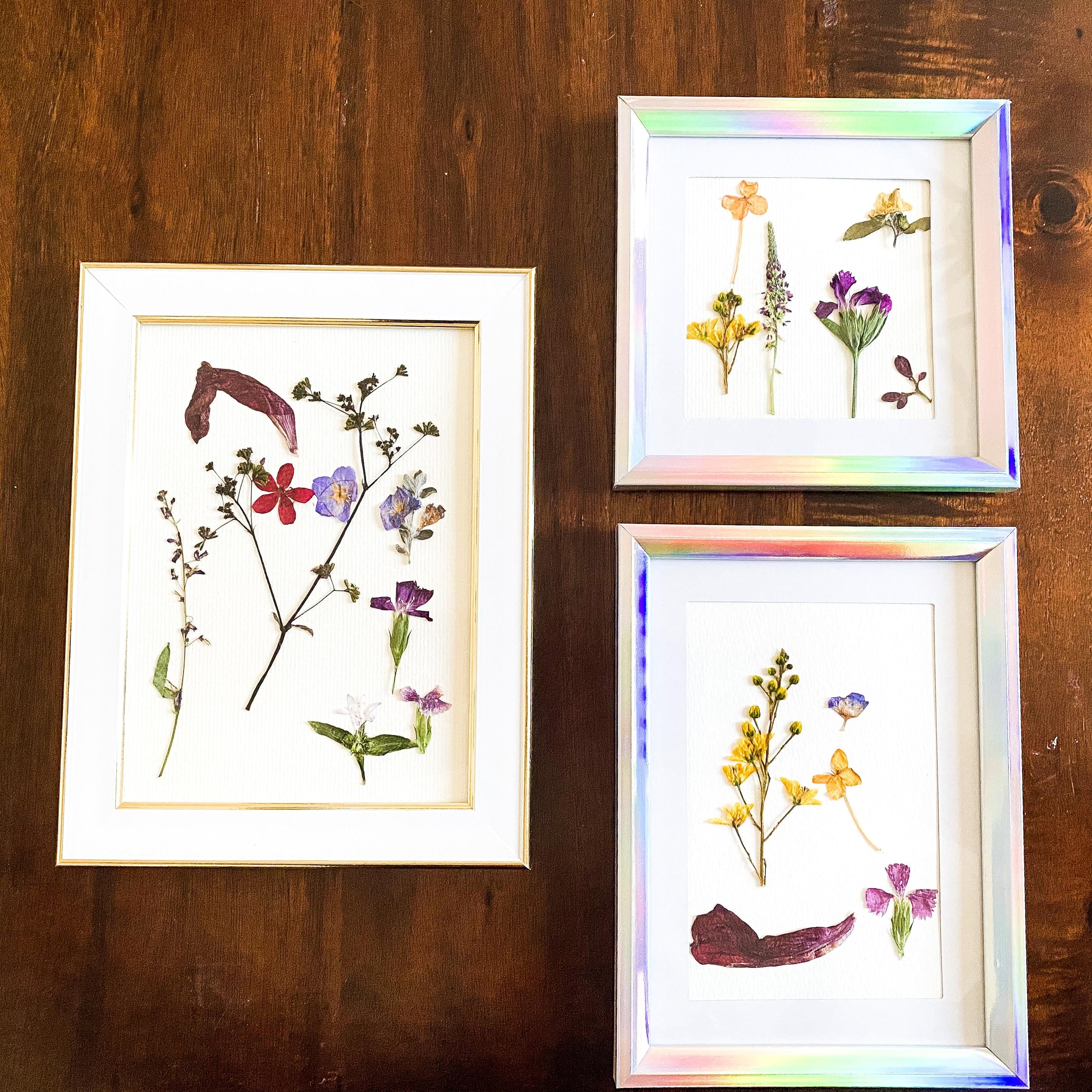 Homeschool hit - student project