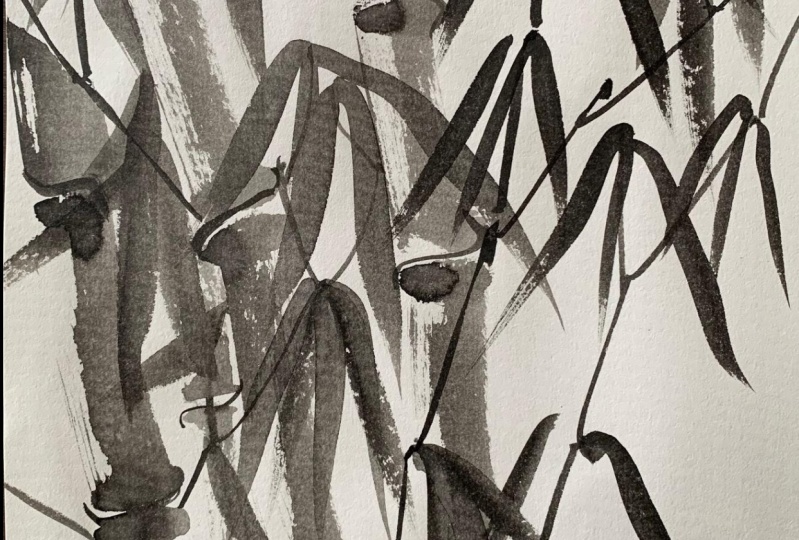Bamboo and orchid