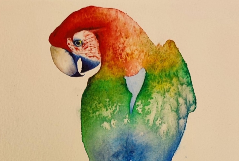 My parrot!