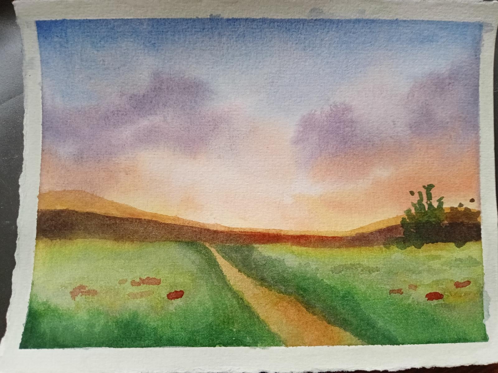 Quick landscape - student project