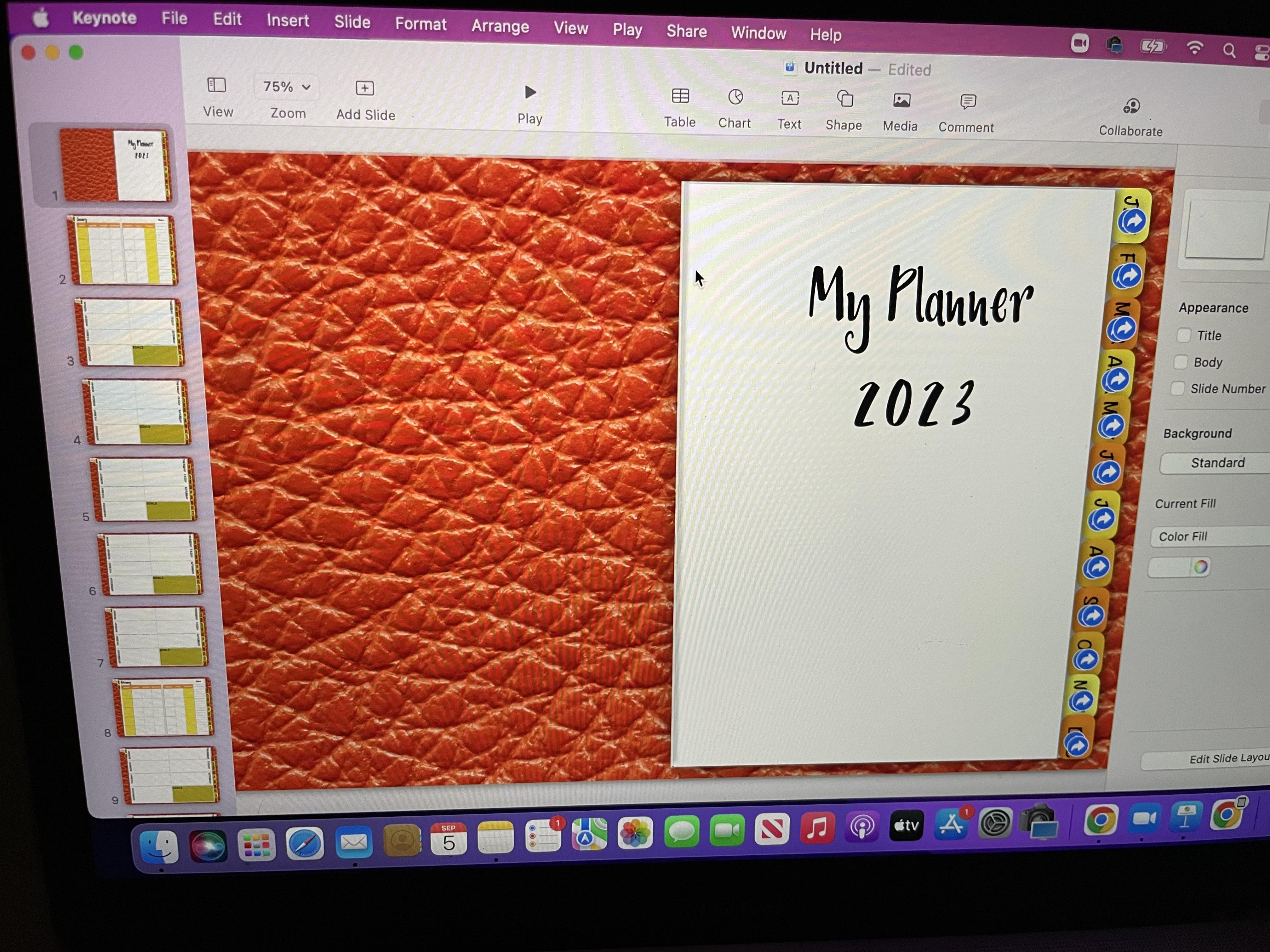 more-projects-from-class-img