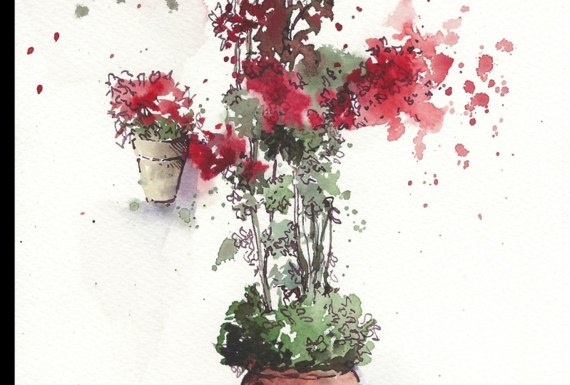 Dynamic Florals in watercolour and pen