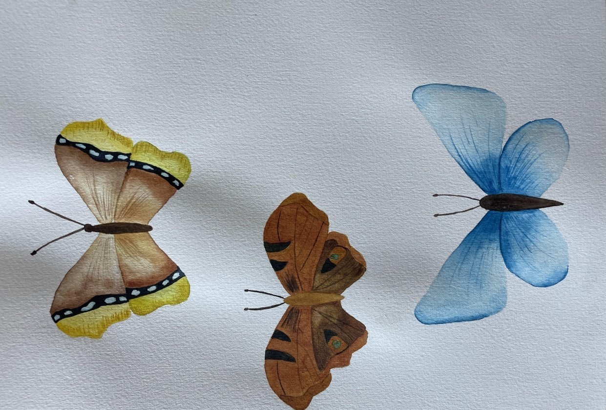 Papillons - student project