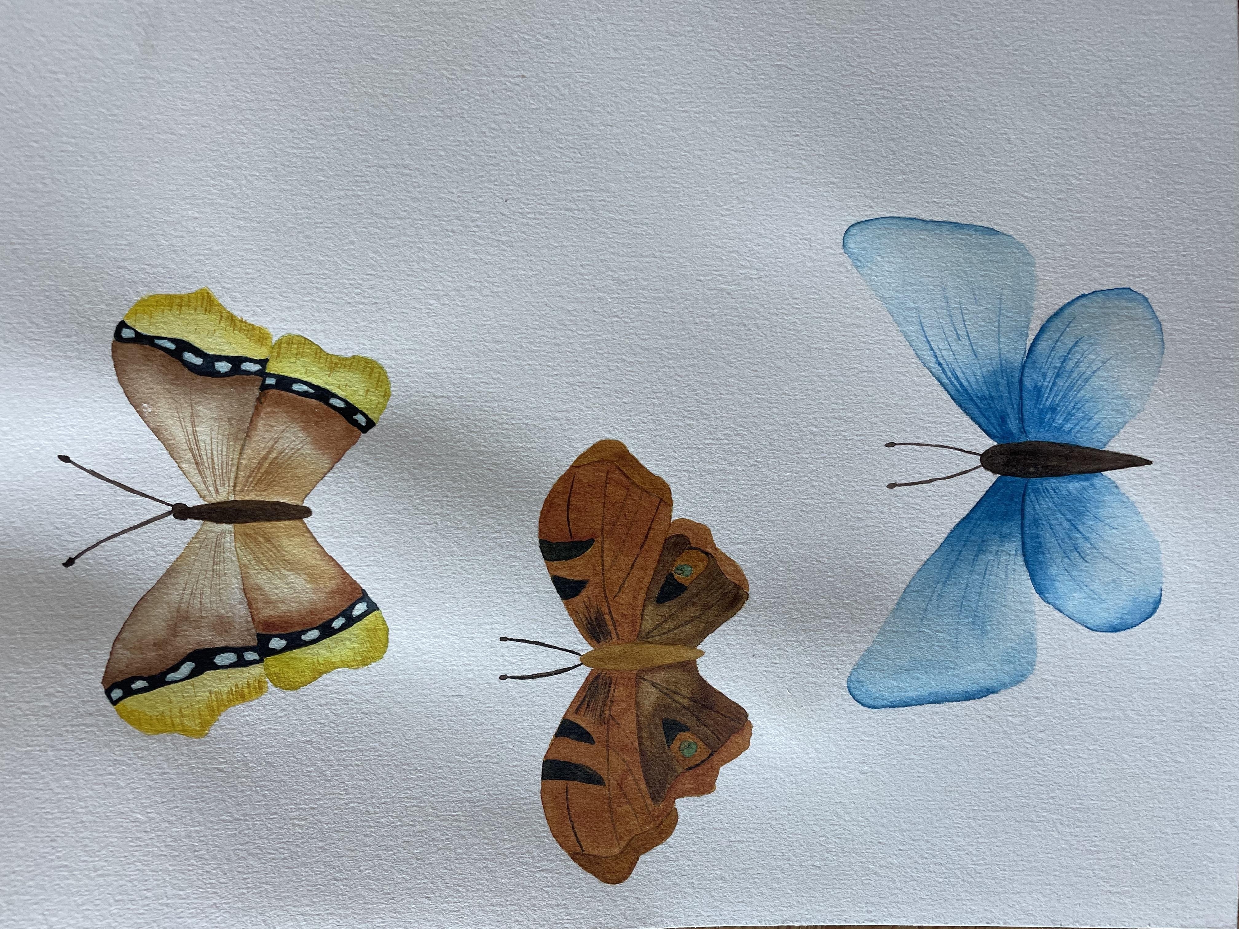more-projects-from-class-img