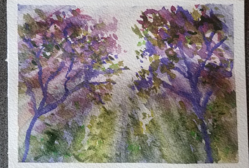 Purple trees